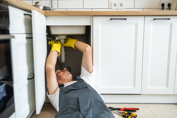 Best Plumbing Inspection Services  in Stewartville, AL